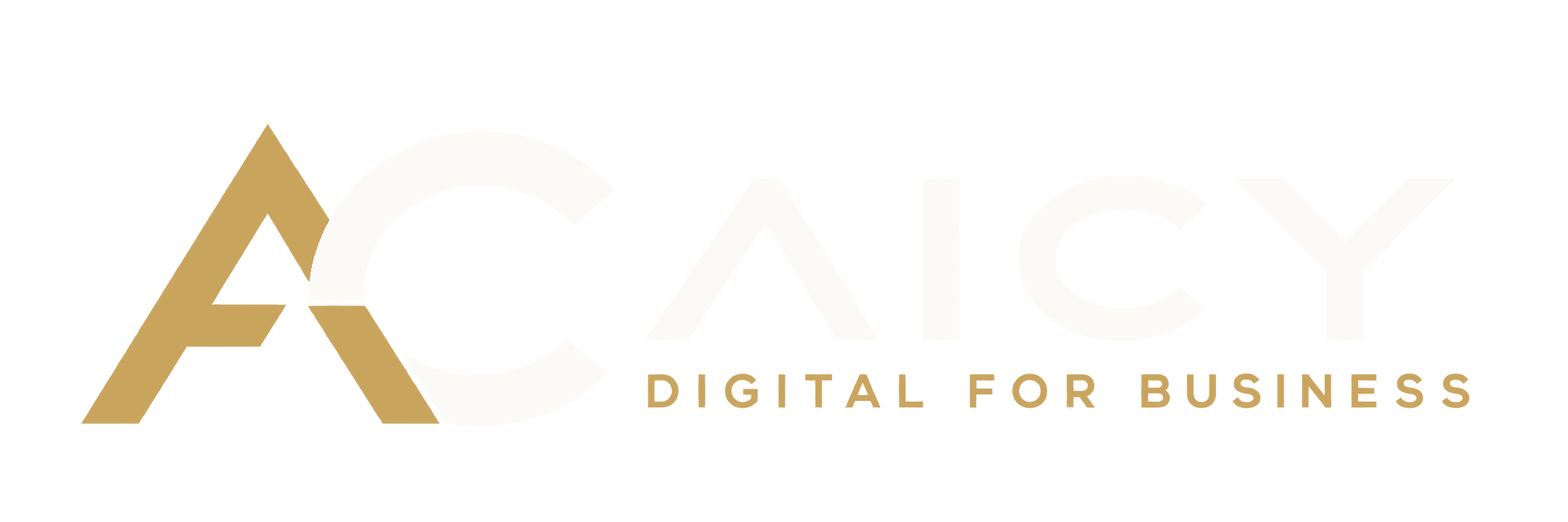 Site criado pela AICY
